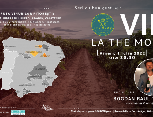 VIN la The Mood: ruta unor vinuri pitorești din Spania